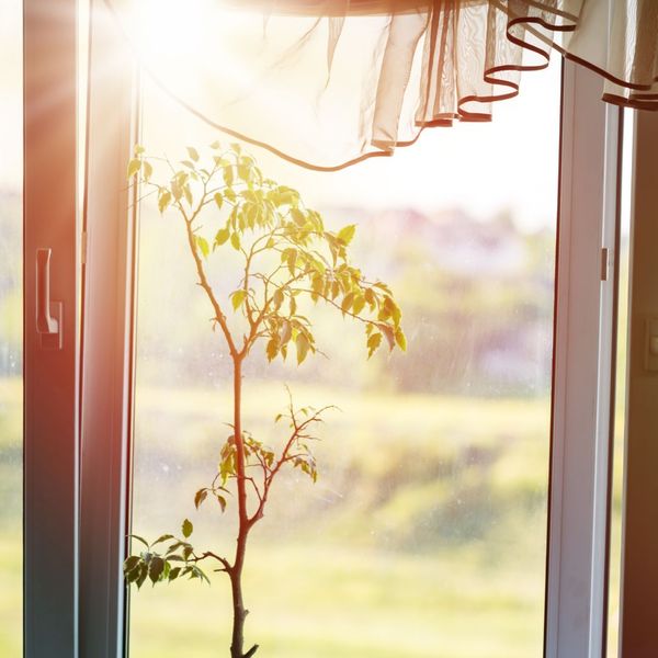 The Benefits of Regular Window Cleaning - APS Window & Gutter Cleaning